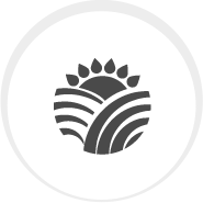 icon1